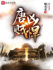 唐贼凶悍封面