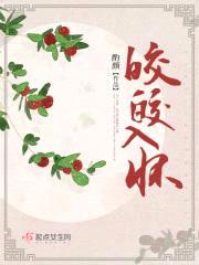 皎皎入怀封面