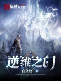 逆维之门封面