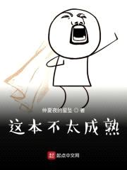 就算是异世界有虎式也没问题吧封面