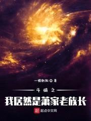 斗破之我居然是萧家老族长封面