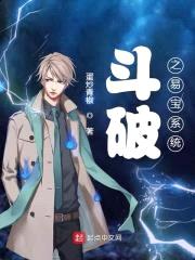 斗破之易宝系统封面
