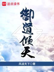 御道倾天封面