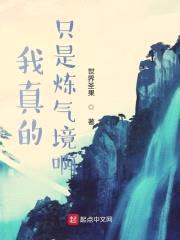 我真的只是炼气境啊封面