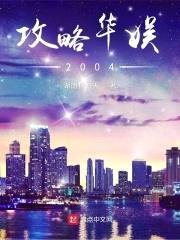 攻略华娱2004封面