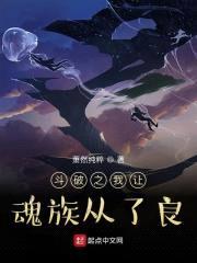 斗破之我让魂族从了良封面