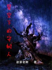 星空下的守树人封面