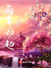 雨霁劫起封面