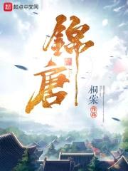 锦唐封面