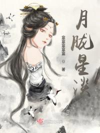 月胧星淡封面