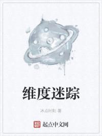 维度迷踪封面
