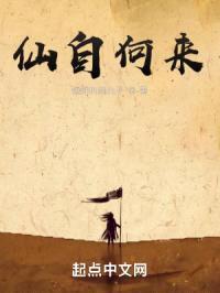 仙道十层封面