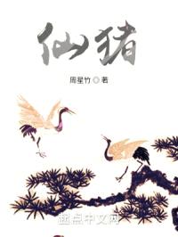 仙猪封面