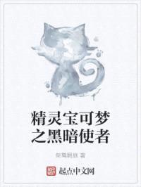 精灵宝可梦之黑暗使者封面