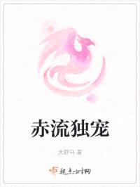 赤流独宠封面