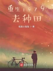 重生1979去种田封面