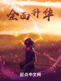 全面升华封面