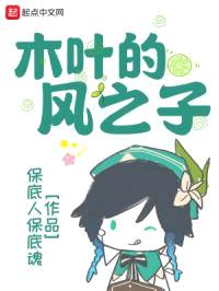 木叶的风之子封面