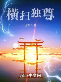 横扫独尊封面