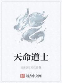 天命道士封面