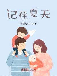 记住夏天封面