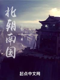北朝南国封面