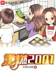 重燃2001封面