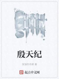 殷天纪封面