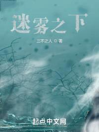 迷雾之下封面