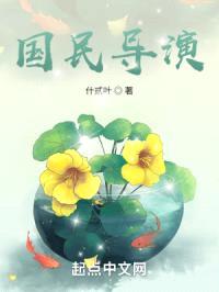 国民导演封面