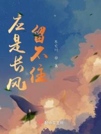 应是长风留不住封面