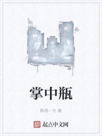 掌中瓶封面
