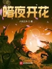 暗夜开花封面