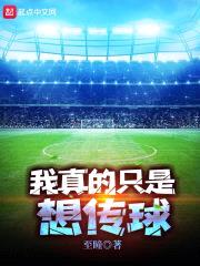 我真的只是想传球封面
