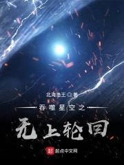 吞噬星空之无上轮回封面