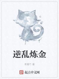 逆乱炼金封面