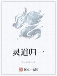 灵道归一封面