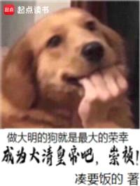 成为大清皇帝吧，崇祯！封面
