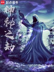 神秘之劫封面