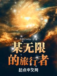 某无限的旅行者封面