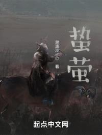 蛰萤封面