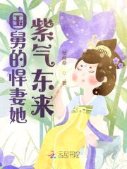 国舅的悍妻她紫气东来封面