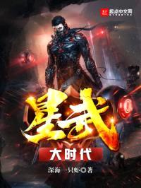 星武大时代封面