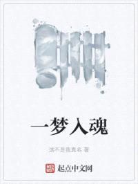 一梦入魂封面
