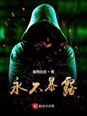 永不暴露封面