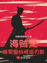 海贼之海军里的极诣刃影封面