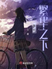 复仇：繁华之下封面