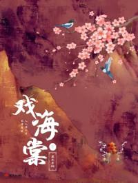 戏海棠封面