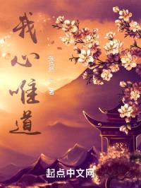 我心唯道封面