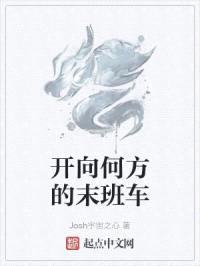 开向何方的末班车封面